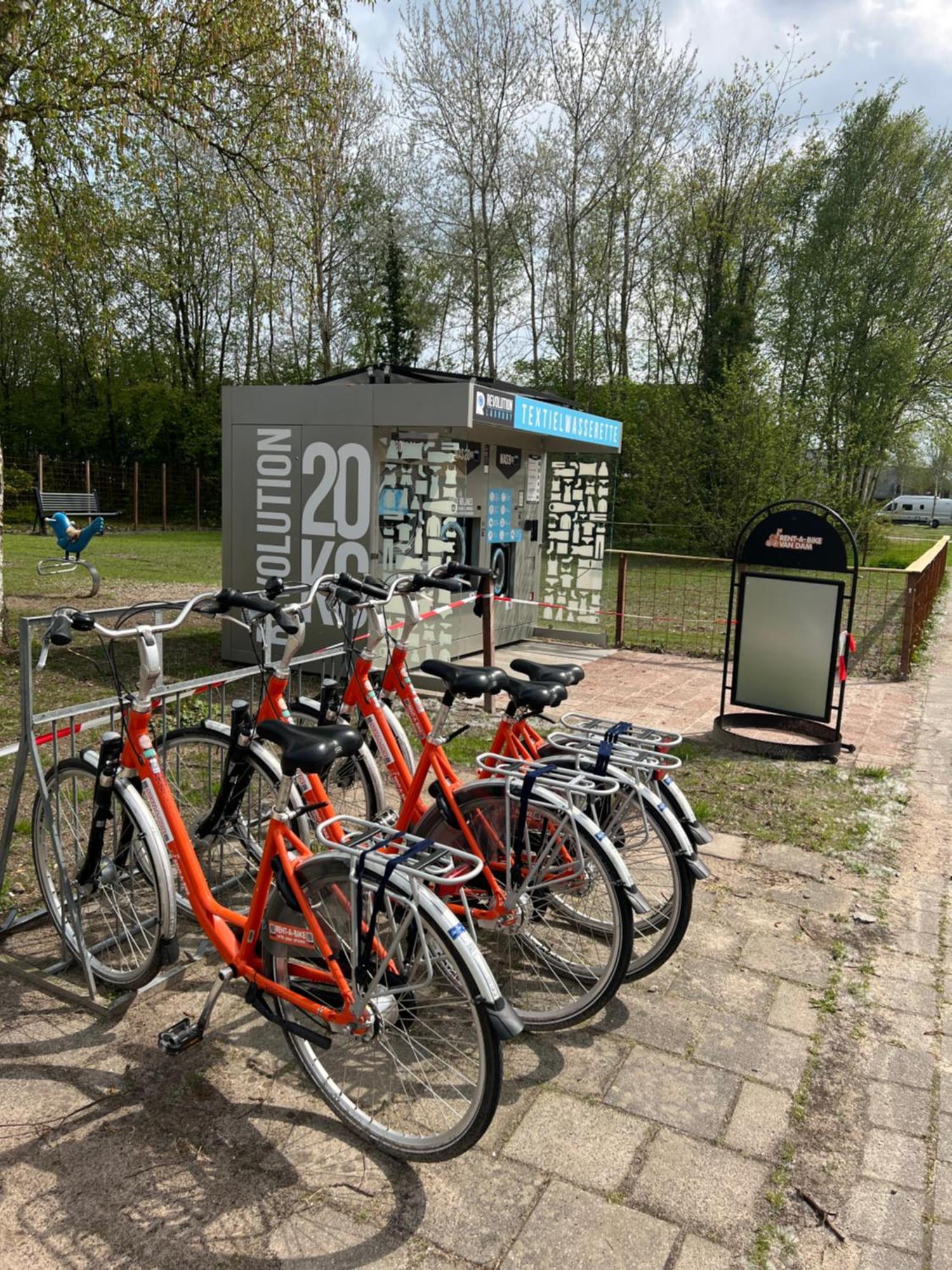 Chalet Quattro In Bosrijke Omgeving Anloo Exteriör bild
