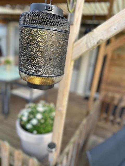 Chalet Quattro In Bosrijke Omgeving Anloo Exteriör bild